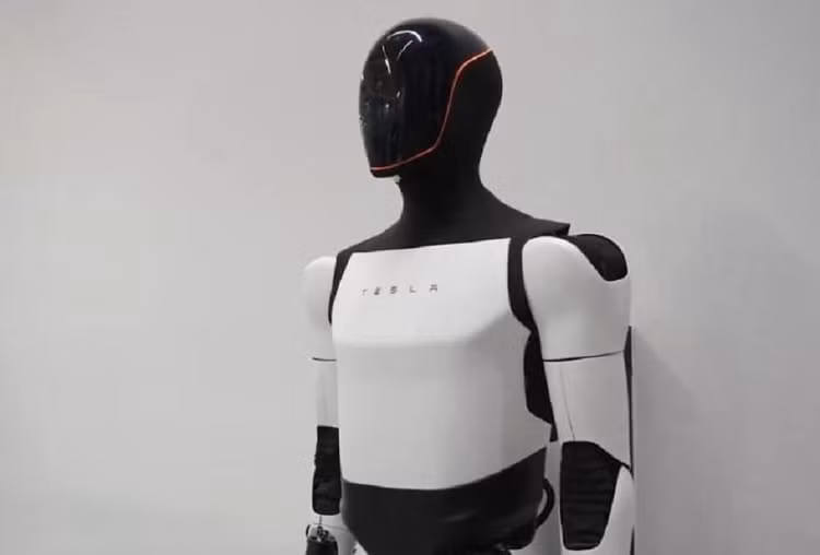 te-3.png