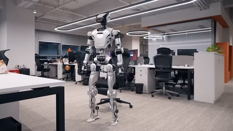 bot-4.png