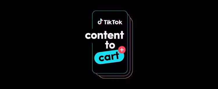 tr-4.png