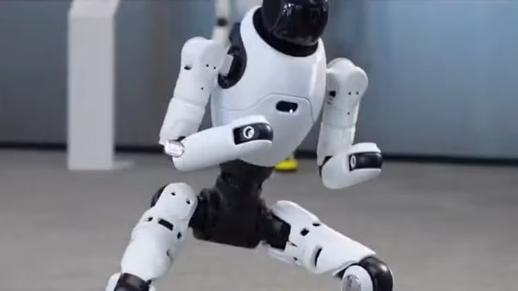 lin-8.png