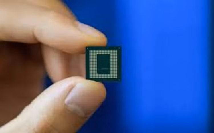 chip-5.png