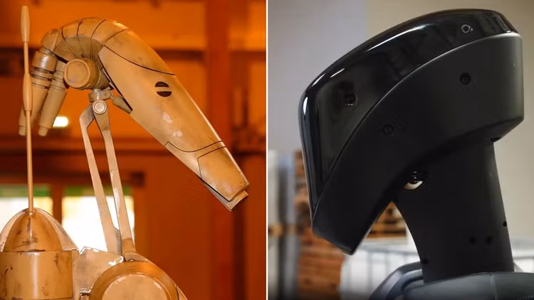 bo-6.png