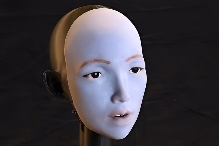 b-8.png