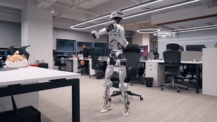 bot-5.png