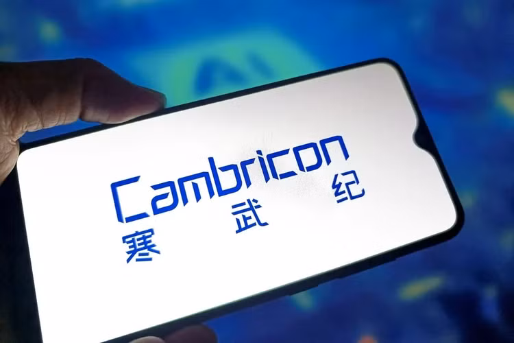 cam-3.png