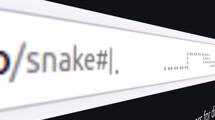 ran-1.png