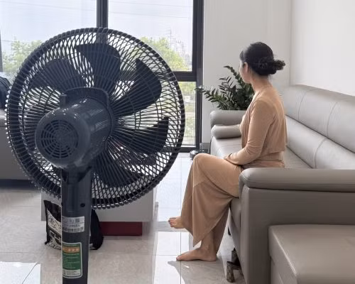 he-6.png