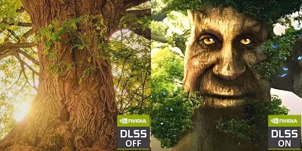 n-7.png