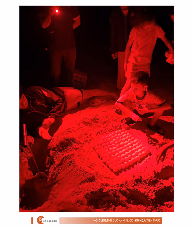 e-tananh-6.jpg