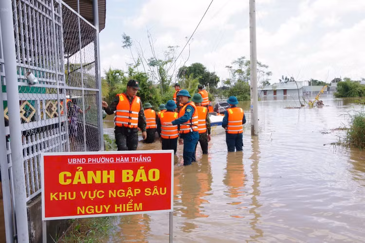 c14fc915-f3b3-4391-8b7d-d7d3a9c91af4.jpg