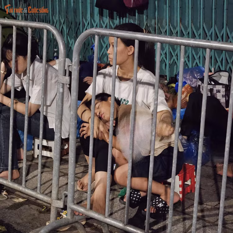 kto-tl_ngu3.jpg