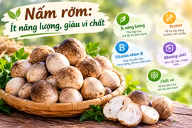 Cách chế biến nấm rơm bổ dưỡng cho bữa ăn thêm phong phú
