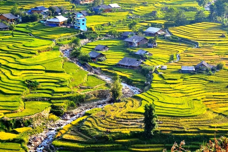 Nằm ở phía Tây Bắc Việt Nam, Sapa nổi tiếng là địa điểm du lịch tuyệt đẹp với những màn sương bao phủ quanh năm, không khí trong lành, những đồi ruộng bậc thang xanh mát cùng nét đẹp thơ mộng của những phiên chợ vùng cao. Ảnh dulich24h Nằm ở phía Tây Bắc Việt Nam, Sapa nổi tiếng là địa điểm du lịch tuyệt đẹp với những màn sương bao phủ quanh năm, không khí trong lành, những đồi ruộng bậc thang xanh mát cùng nét đẹp thơ mộng của những phiên chợ vùng cao. Ảnh dulich24h