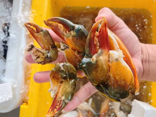 Càng cua là mặt hàng được nhiều người tìm mua trong ngày hè nắng nóng hiện nay