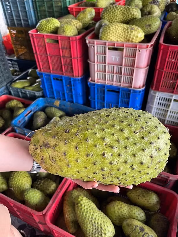 Mãng cầu xiêm