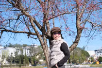 Đà Lạt ngập sắc hồng mai anh đào khi Tết Bính Ngọ đã cận kề