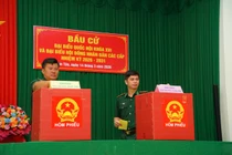 Lâm Đồng hoàn tất bầu cử HĐND, bảo đảm an toàn, đúng luật