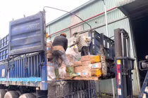 Đồng Nai: Tiêu hủy 30 tấn thực phẩm đông lạnh nhiễm bẩn 