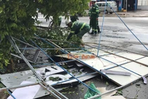 Cây xanh đổ gây thiệt hại về tài sản.