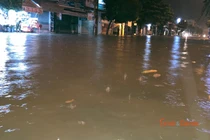 Ngập diện rộng sau mưa lớn tại Lâm Đồng, giao thông tê liệt