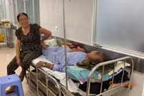 Phát hiện Salmonella trong mẫu bánh mì nghi gây ngộ độc ở Lâm Đồng