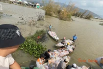 Chung tay giúp Gia Lai vượt lũ: Những chuyến xe nghĩa tình 