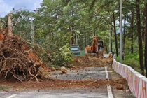 Sạt lở đèo Prenn gây tắc nghẽn giao thông tại Đà Lạt