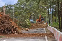 Sạt lở đèo Prenn gây tắc nghẽn giao thông tại Đà Lạt
