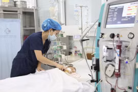 Bé trai 15 tháng tuổi nguy kịch vì bị ong vò vẽ đốt khoảng 60 nốt trên người