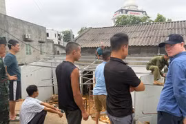 Mưa lớn làm sập tường nhà ở Phú Thọ, hai cháu nhỏ bị đè khi đang ngủ