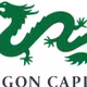 [SPOTLIGHT] Dragon Capital rót hơn 1.300 tỉ đồng vào IPO Điện Máy Xanh