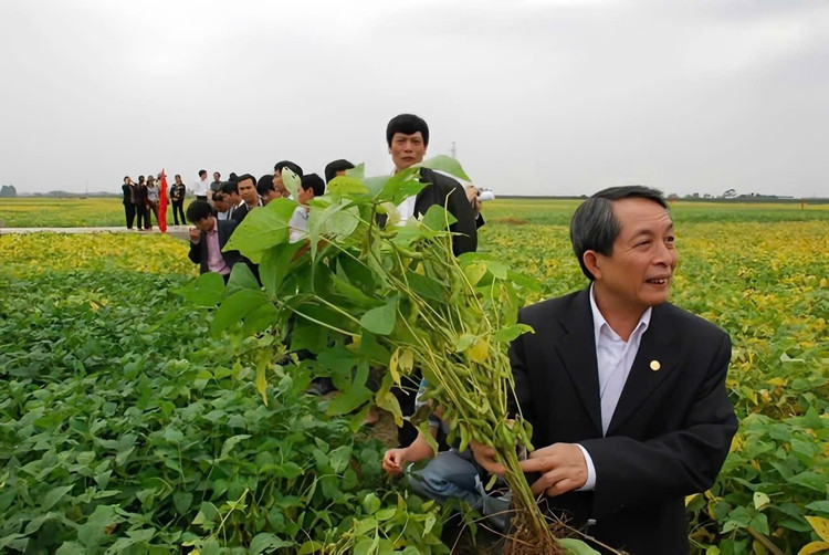 Prof. Dr. Tran Dinh Long besucht das Wintersojabohnenmodell in Hanoi. Foto: NVCC. gs-long-4.jpg