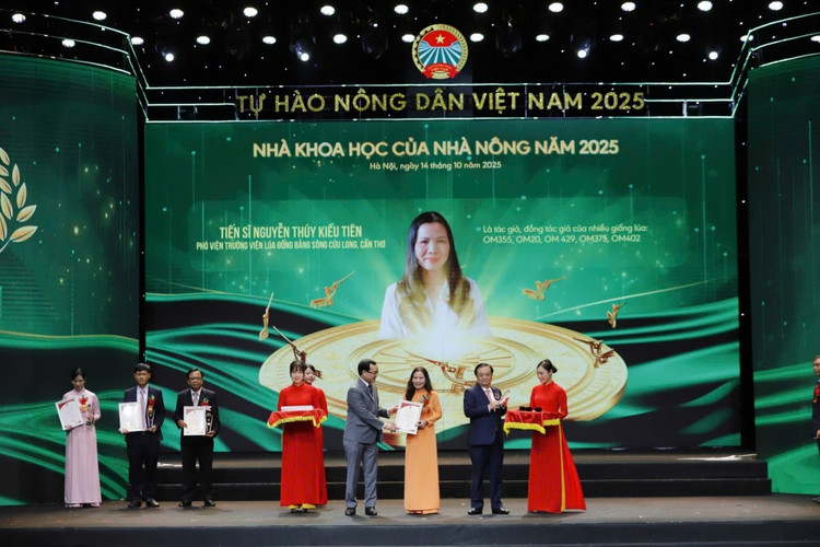 Tiến sĩ Nguyễn Thúy Kiều Tiên, Phó Viện trưởng Viện lúa ĐBSCL vừa được Trung ương Hội Nông dân Việt Nam vinh danh Nhà khoa học của nhà nông 2025. Ảnh: Phạm Hưng. kieu-tien-1000.jpg
