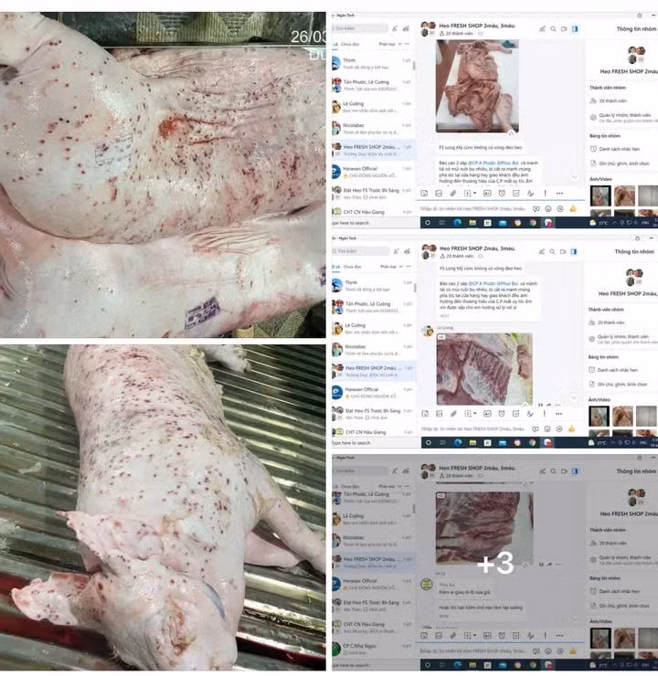 Hình ảnh heo bị bệnh do tài khoản có tên Jonny Lieu đăng lên mạng. (Ảnh: Chụp màn hình)