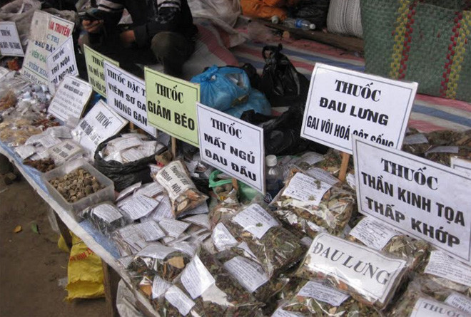 Việt Nam có nhiều cây thuốc đông y quý.