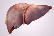 2 nguyên nhân khiến người gầy bị gan nhiễm mỡ