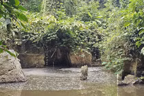 Chất thải trại lợn Cty Như Xuân thẩm thấu gây ô nhiễm suối Lèn Cò Noóng