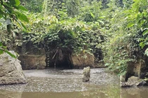 Chất thải trại lợn Cty Như Xuân thẩm thấu gây ô nhiễm suối Lèn Cò Noóng