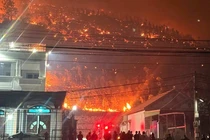 Phó Thủ tướng chỉ đạo khẩn sau 2 vụ cháy rừng ở Quảng Ninh