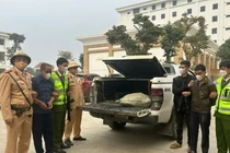 Chủ tịch xã ở Nghệ An vận chuyển ma túy sẽ lĩnh án gì?