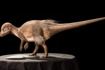 Nếu tồn tại đến ngày nay, khủng long sẽ tiến hóa như thế nào? 