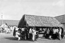 Hình độc: Xuất khẩu lao động ở Hải Phòng thập niên 1920 (2)