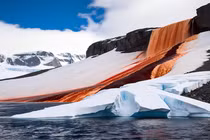 15 sự thật cực thú vị về lục địa băng giá nhất Trái đất