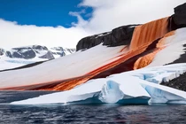 15 sự thật cực thú vị về lục địa băng giá nhất Trái đất