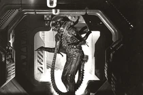 Phát hiện chấn động: Người ngoài hành tinh có thật, đang quan sát chúng ta?