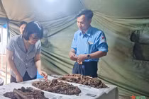 Phát hiện 32 hài cốt liệt sĩ tại mộ tập thể ở Gia Lai