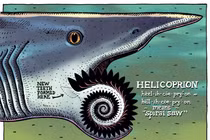 Cận cảnh loài cá mập có bộ răng kinh dị nhất từng tồn tại 