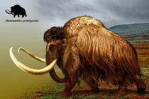 Tiết lộ bất ngờ về loài vật nổi tiếng nhất Kỷ Băng hà