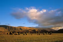 Chuyên gia nói gì về vòng tròn gỗ 4.000 tuổi mới phát lộ?