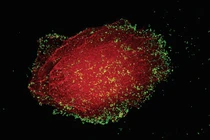 Giả thuyết gây sốc về nguồn gốc sự sống, nghe xong ai cũng giật mình